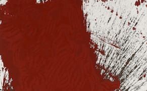 Hermann Nitsch's “Leviticus” Now on View at the Hudson Valley Center for Contemporary Art