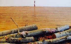 Wreckage upon Wreckage: Elana Herzog’s 'Angel of History'