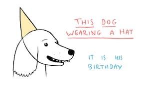 11 Things that Are Surprisingly NOT Running for President