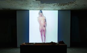 From Peeling Skin to Talking Dolls, Highlights from the Detroit Design Festival