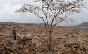 A Digital Fossil Finder for a New Crowdsourced Age of Archaeology