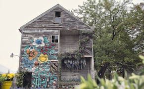 An Abandoned House in Detroit Blooms with Aromatic Plants