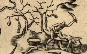 Why Cannibals Were on Every 16th-Century Map of the New World