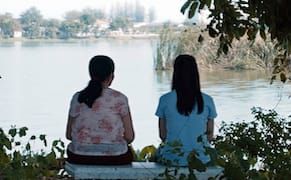 New York Film Festival Recap