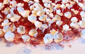 Two Ceramicists Craft Domestic Intricacies