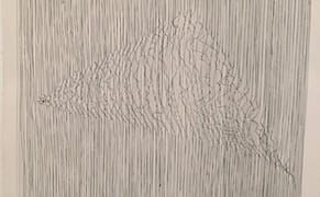 Connecting the Lines Between Gego and Sarah Sze