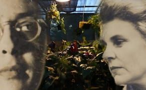 "Familiar, Unbidden": Finding Home with Elizabeth Bishop