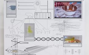 When Our Bodies Become as Artificial as the Food We Consume