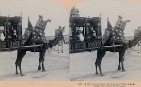 From Pyramids to Ostriches, Stereoscopic Views of Late-19th-Century Egypt