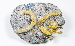 Plastiglomerate, the Anthropocene’s New Stone