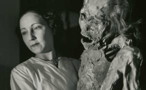 Robert Doisneau's Photographs of the Paris Natural History Museum During the Nazi Occupation