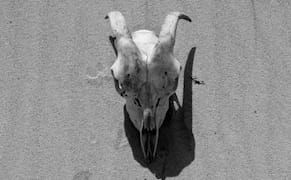 Surround Sound: The Sonic Environments of Jacob Kirkegaard's ‘Earside Out’