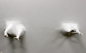 The 17 Pairs of Hands That Spun a Little Black Dress into Existence