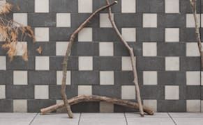 X Marks the Spot: E. J. McAdams’s Sculptural Nature Writing