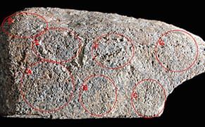 13,800-Year-Old Engraving May Be First Depiction of a Man-Made Landscape