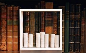 An Oblivious but Ambitious Artistic Intervention in White