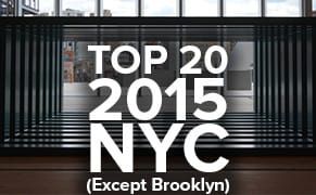 Best of 2015: Our Top 20 NYC Art Shows