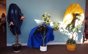 At Pulse Miami Beach, Plants, Plants Everywhere