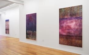 Infected Paintings as an Allegory of Migration