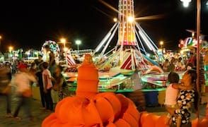 The Asia Pacific Triennial Chooses the Margins as a Radical Space