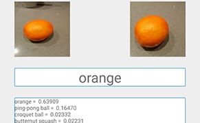 A New App Attempts to See for the Blind