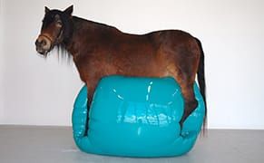 Saatchi Gallery Congratulates Itself on First All-Women Art Show