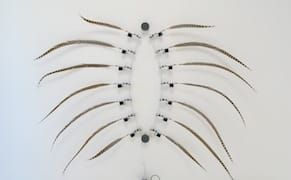 In San Francisco, Closing the Gap Between Art and Tech