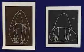 From Challenging Kant to Elevating Moss, an Artist Upends Hierarchies