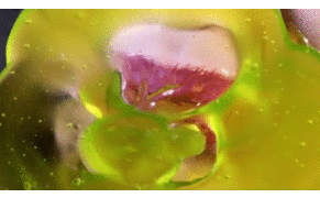 Marilyn Minter's Dirty Visions of Foods, Faces, and Feet