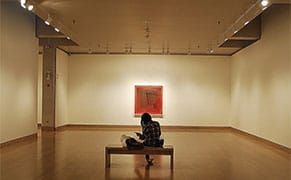 The Evolution of the Museum Visit, from Privilege to Personalized Experience