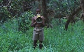 A Coming-of-Age Tale Set Amid Miami’s Delicate Ecology