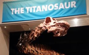 122-Foot Dinosaur Makes Its Colossal Debut at the American Museum of Natural History