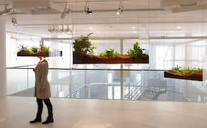 Ecological Art that Miniaturizes (and Minimizes) Climate Change