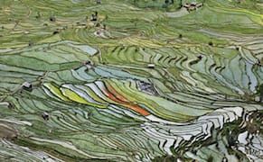 Chrysler Museum of Art Features Photographer Ed Burtynsky in Exhibition Focused on Global Water Issues