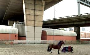 Rethinking Life Beneath Our Cities' Concrete Overpasses