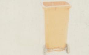 Polaroids Steeped in the Fog of Memory