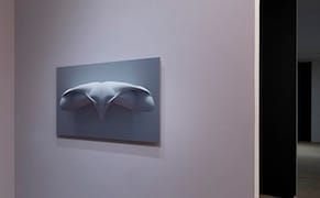 Turning the Digital into the Material, with Feng Shui