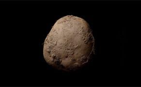 "Looks Like an Old Turd”: Outraged Netizens React to Reported $1.8 Million Sale of Potato Photograph