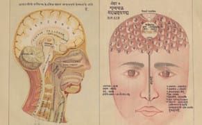 India’s Scientific and Metaphysical Views of Medicine in Objects