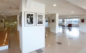 An Art Collector’s Dream of a String of Caribbean Museums Starts in Flatbush