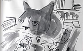 What I Witnessed During My Children's Book Tour