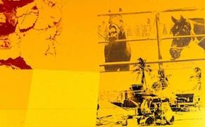 Rauschenberg Foundation Joins 21st Century, Embraces Fair Use