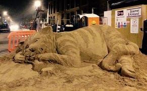 Sand Sculptor Transforms Construction Site into Anti-Gentrification Cat Art