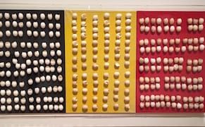 Marcel Broodthaers's Fraught Relationship with Words