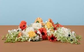 Taryn Simon Mines the Empty Aesthetics of Diplomacy