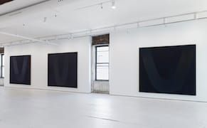 Paintings that Sensuously Shift in Tone and Texture