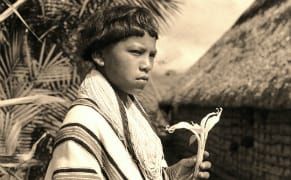 An Interactive Map of a Midcentury Botanist’s Amazonian Trips