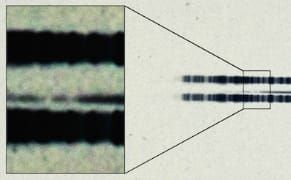 Century-Old Glass Photographic Plate Reveals Earliest Evidence of an Exoplanet