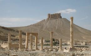 Excavating the Forgotten History of Palmyra