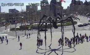 From Warhol's Grave to Elvis's Front Door, 10 Museum Webcams to Watch